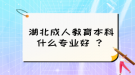 湖北成人教育本科什么專業(yè)好 ？