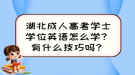 湖北成人高考學(xué)士學(xué)位英語怎么學(xué)？有什么技巧嗎？