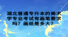 湖北普通專升本的美術(shù)學(xué)專業(yè)考試有畫筆要求嗎？畫紙是多大？