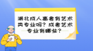 湖北成人高考有藝術(shù)類專業(yè)嗎？成考藝術(shù)專業(yè)有哪些？