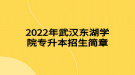 2022年武漢東湖學(xué)院專升本招生簡(jiǎn)章