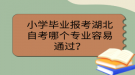 小學畢業(yè)報考湖北自考哪個專業(yè)容易通過？