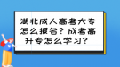 湖北成人高考大專怎么報(bào)名？成考高升專怎么學(xué)習(xí)？