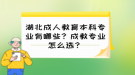 湖北成人教育本科專業(yè)有哪些？成教專業(yè)怎么選？