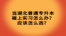 當(dāng)湖北普通專升本碰上實習(xí)怎么辦？應(yīng)該怎么選？