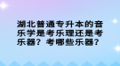 湖北普通專升本的音樂學是考樂理還是考樂器？考哪些樂器？