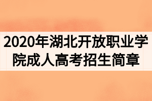 2020年湖北開放職業(yè)學(xué)院成人高考招生簡章