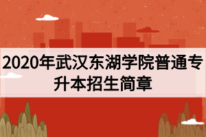 2020年武漢東湖學(xué)院普通專(zhuān)升本招生簡(jiǎn)章