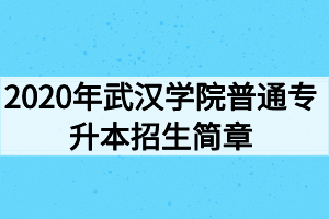 2020年武漢學(xué)院普通專升本招生簡章