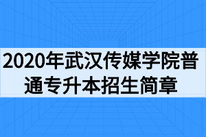 2020年武漢傳媒學(xué)院普通專(zhuān)升本招生簡(jiǎn)章