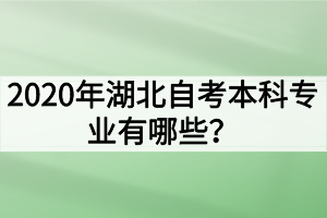 2020年湖北自考本科專業(yè)有哪些？哪些專業(yè)的就業(yè)前景好