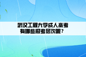 武漢工程大學成人高考有哪些報考層次呢？