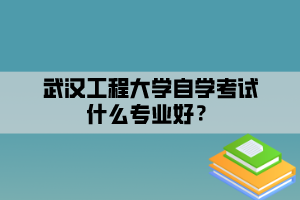 武漢工程大學(xué)自學(xué)考試什么專業(yè)好？