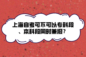 上海自考可不可以?？贫?、本科段同時(shí)兼報(bào)？