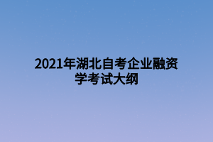 2021年湖北自考企業(yè)融資學考試大綱