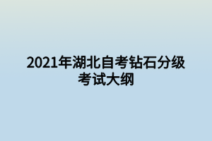 2021年湖北自考鉆石分級考試大綱