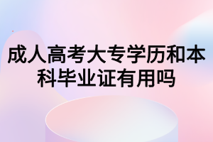 成人高考大專學歷和本科畢業(yè)證有用嗎