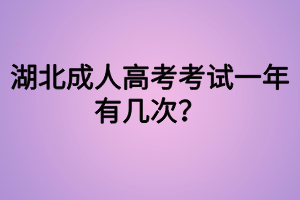 湖北成人高考考試一年有幾次？