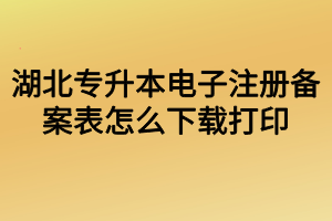 湖北專升本電子注冊(cè)備案表怎么下載打印？