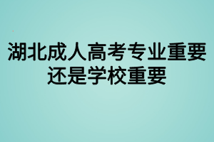 湖北成人高考專業(yè)重要還是學(xué)校重要