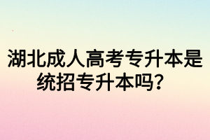 湖北成人高考專(zhuān)升本是統(tǒng)招專(zhuān)升本嗎？