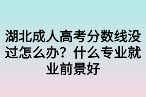 湖北成人高考分?jǐn)?shù)線沒過怎么辦？什么專業(yè)就業(yè)前景好