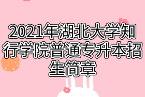 2021年湖北大學(xué)知行學(xué)院普通專升本招生簡章