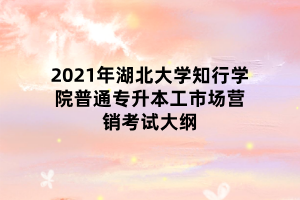 2021年湖北大學(xué)知行學(xué)院普通專升本工市場營銷考試大綱