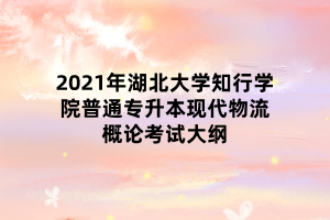 2021年湖北大學知行學院普通專升本現(xiàn)代物流概論考試大綱