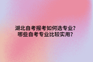 湖北自考報考如何選專業(yè)？哪些自考專業(yè)比較實用？