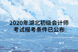 2020年湖北初級(jí)會(huì)計(jì)師考試報(bào)考條件已公布