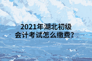 2021年湖北初級(jí)會(huì)計(jì)考試怎么繳費(fèi)？