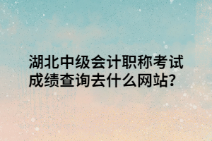 湖北中級會計職稱考試成績查詢?nèi)ナ裁淳W(wǎng)站？