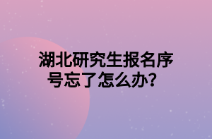 湖北研究生報(bào)名序號(hào)忘了怎么辦？