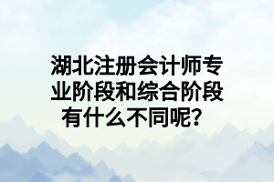 湖北注冊會計師專業(yè)階段和綜合階段有什么不同呢？