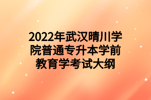 2022年武漢晴川學(xué)院普通專(zhuān)升本學(xué)前教育學(xué)考試大綱