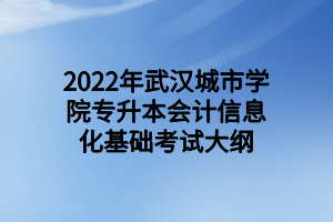 2022年武漢城市學(xué)院專升本會計信息化基礎(chǔ)考試大綱