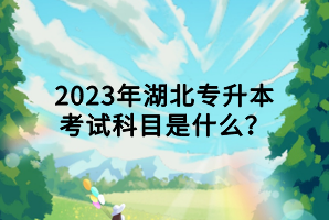 2023年湖北專升本考試科目是什么？