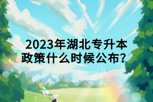 2023年湖北專升本政策什么時(shí)候公布？